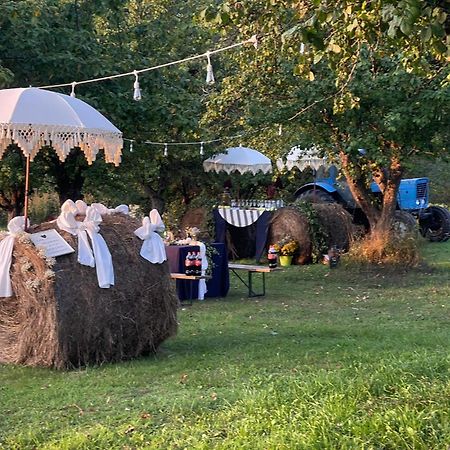 Guest House Zirga Smaids Kušneri Kültér fotó